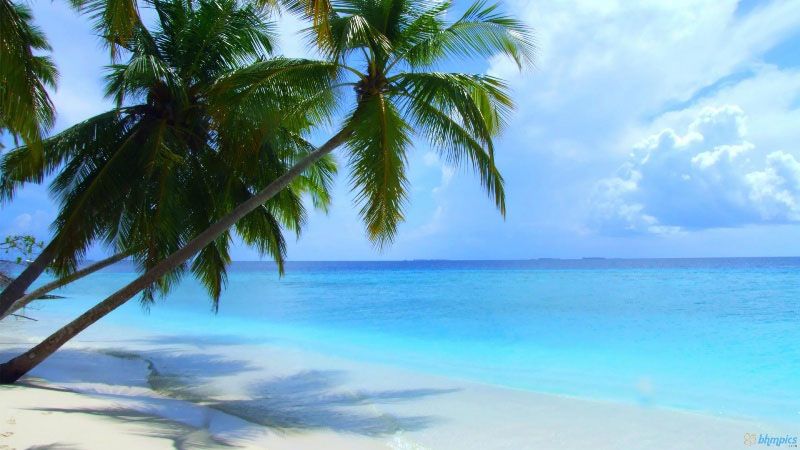 Maldives-Beach.jpg