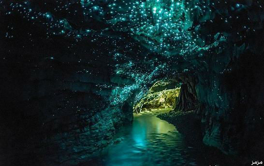 glowworm-caves-waitom-36.jpg