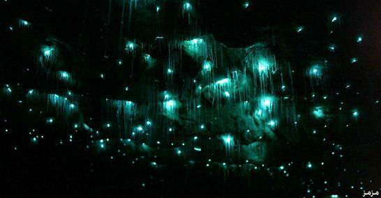 glowworm-caves-waitom-22.jpg