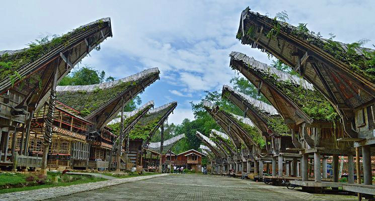 Tana-toraja5.jpg