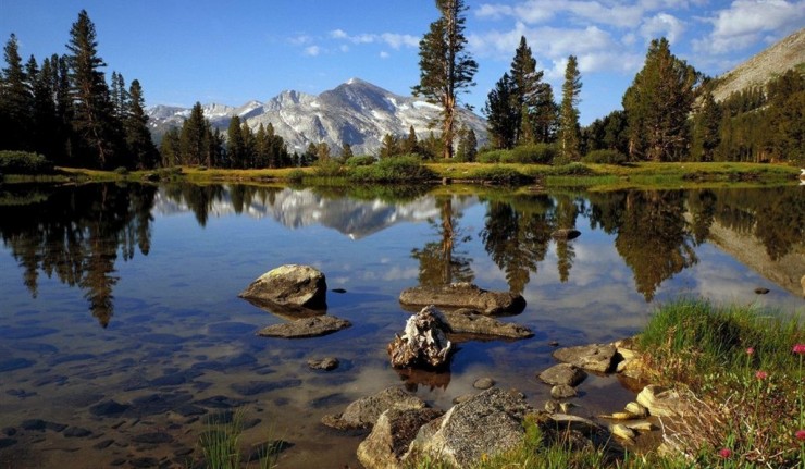 Yosemite-National-Park-7-740x431.jpg