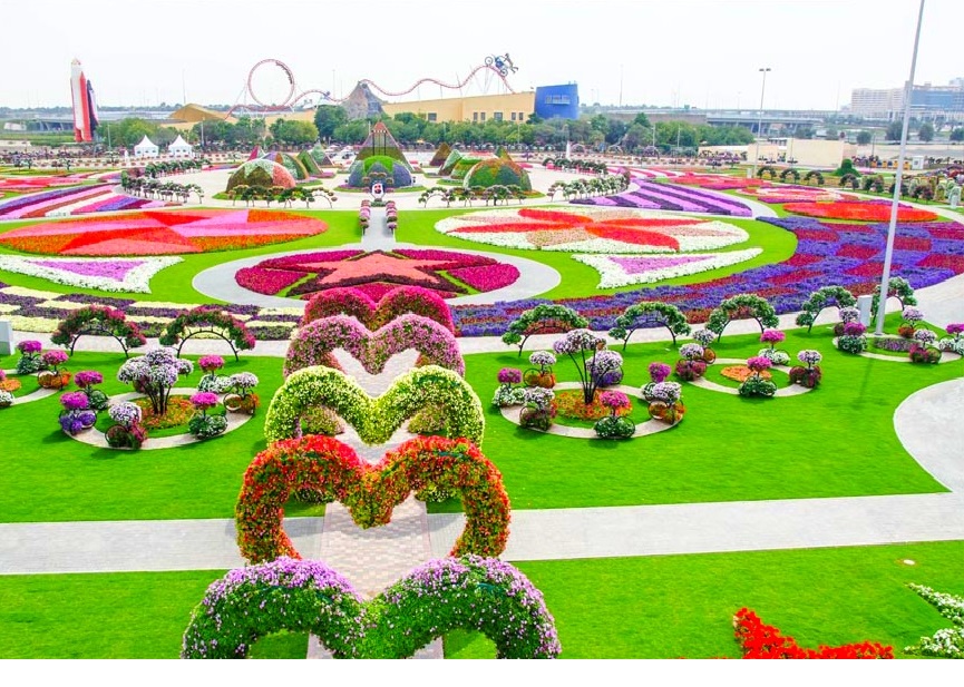 Dubai-Miracle-Garden.jpg