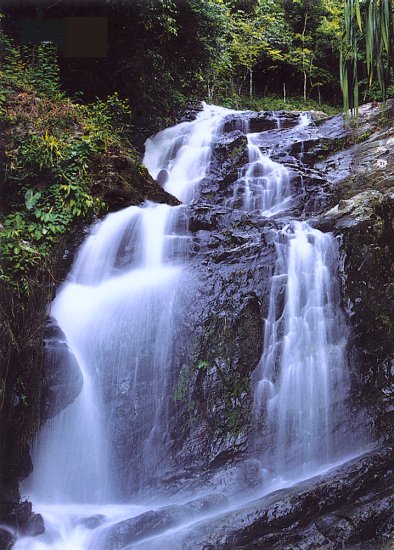 durian_peringin_falls.jpg