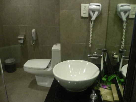 toilet-4-star-design.jpg