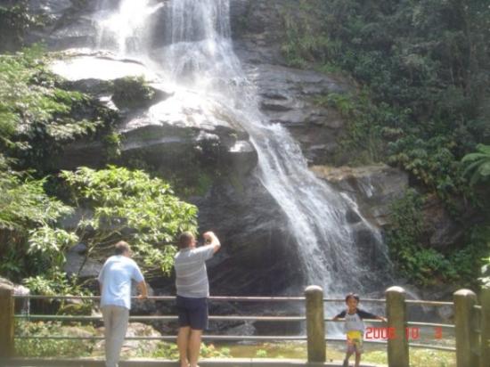 tijuca-national-park.jpg