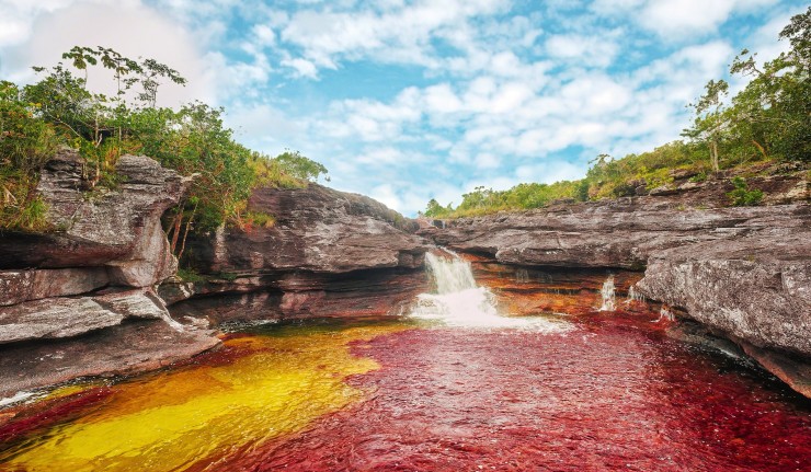 Ca%C3%B1o-Cristales-Colombia-740x431.jpg