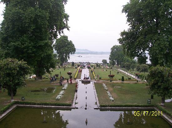 nishat-bagh-srinagar.jpg