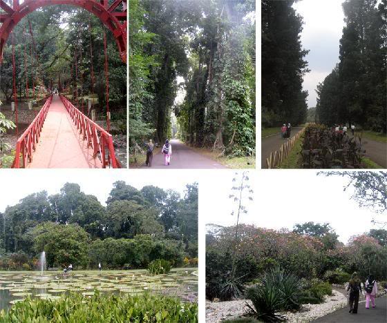 BotanicalGarden1.jpg