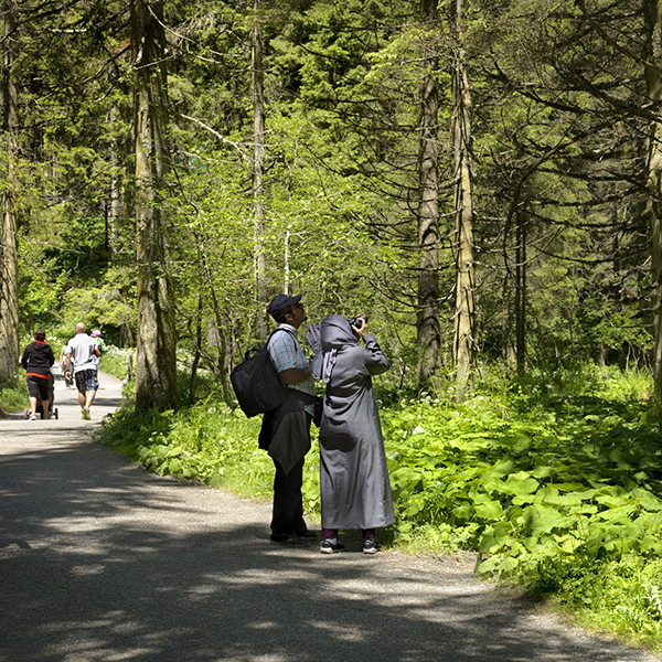 at-lower-altitudes-the-alpine-forests-and-pastures-are-perfect-for-relaxing-strolls.jpg