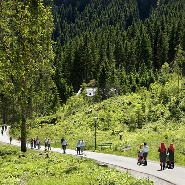 a-walking-path-into-the-forest-which-leads-the-people-to-a-beautiful-waterfall.jpg