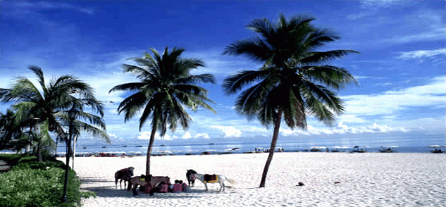 travel_tours_images_1356494426_913.gif