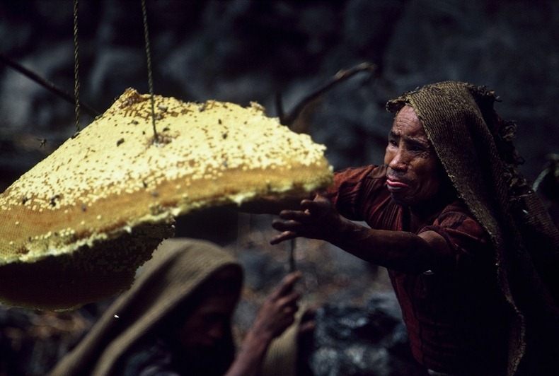 honey-hunters-nepal-9%5B2%5D.jpg