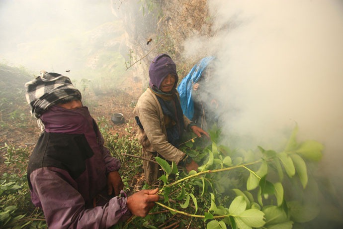 honey-hunters-nepal-17%5B4%5D.jpg