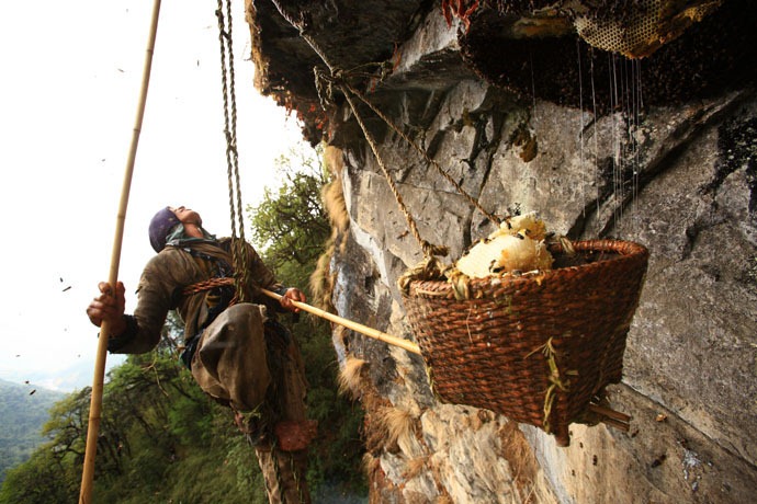 honey-hunters-nepal-28%5B4%5D.jpg