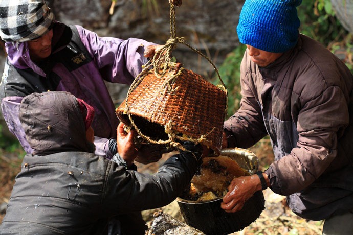 honey-hunters-nepal-31%5B4%5D.jpg