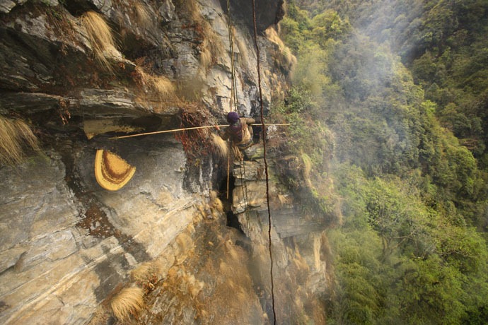 honey-hunters-nepal-34%5B4%5D.jpg