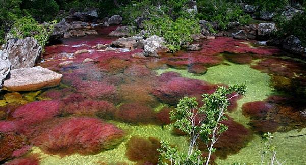 travel_photo_images_1361179252_972.jpg