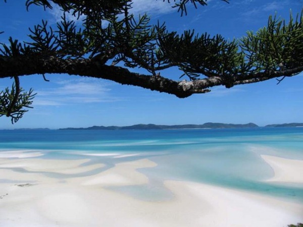 Whitehaven-Beach-Whitsunday-Island-Australia71-728x546_thumb[2].jpg