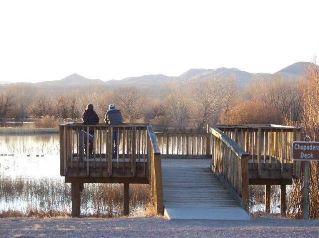 197457-bosque-del-apache-national-wildlife-refuge-santa-fe-united-states.jpg