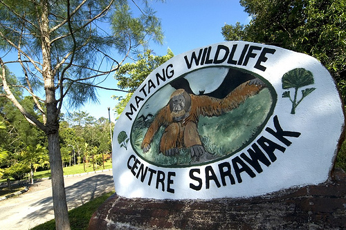 MatangWildlifeCentre.jpg