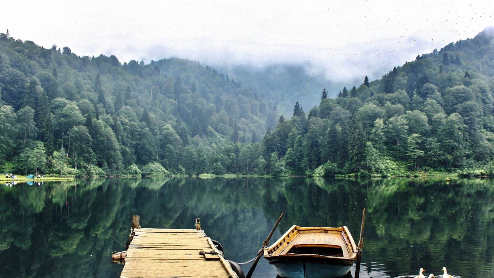 Artvin_Karagol_lake_forest_landscape_nature_beauty_amazing_mountain_sky_1920x1080.jpg