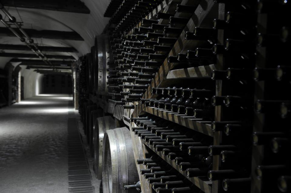 Wine-Tunnel-2.jpg