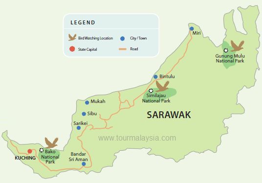 sarawak-bird-watching.jpg