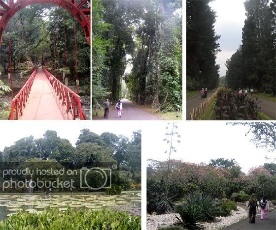 BotanicalGarden1.jpg