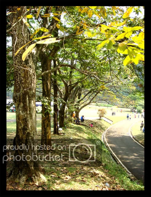 BogorBotanicalGardens3.jpg