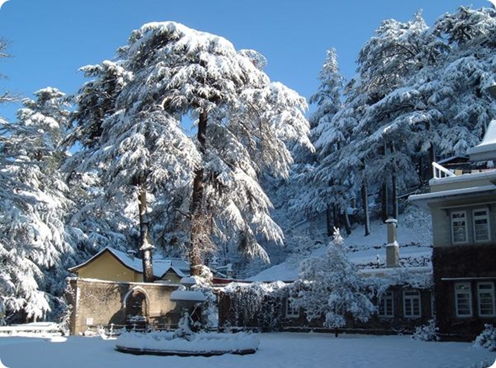 Shimla.jpg