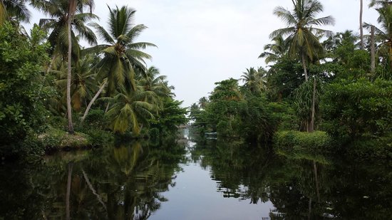 muthurajawela-marsh.jpg