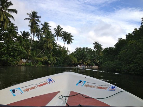 mangrove-boat-tour-day.jpg