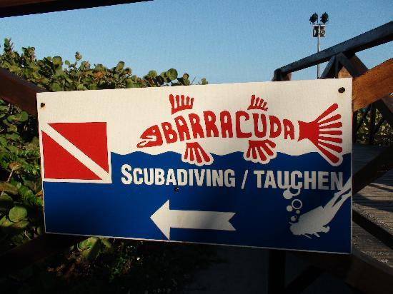 barracuda-diving-centre.jpg