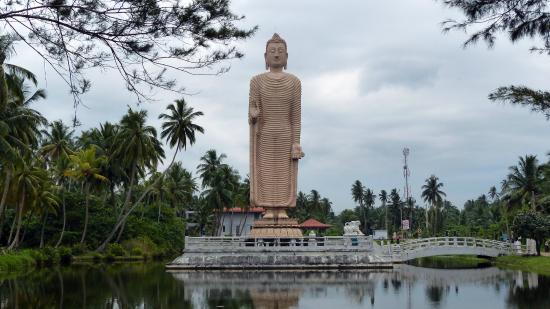 tsunami-honganji-vihara.jpg