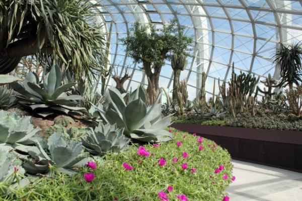 15_flower-dome.img_assist_custom-600x401.jpg