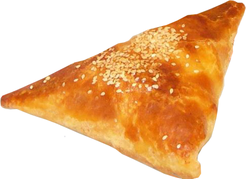 samsa.png