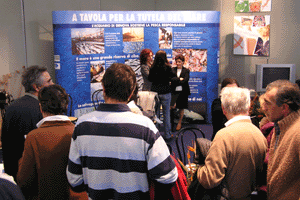 Genoa-Aquarium-Display.gif