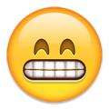 emoji16.png