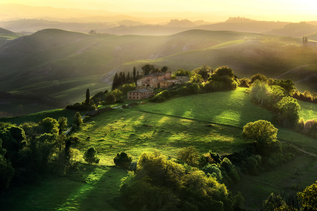 Cypresses-On-Hillside-Tuscany-Italy-Photograph.jpg
