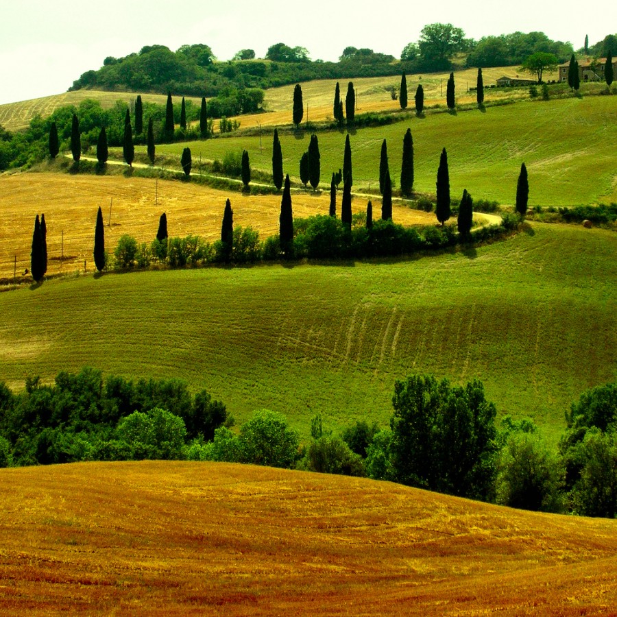 Toscana-is-a-city-in-Italy-where-the-renaissance-was-born.jpg