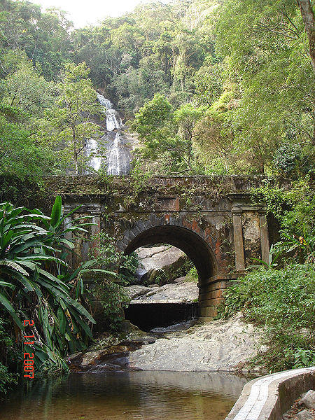 tijuca.jpg