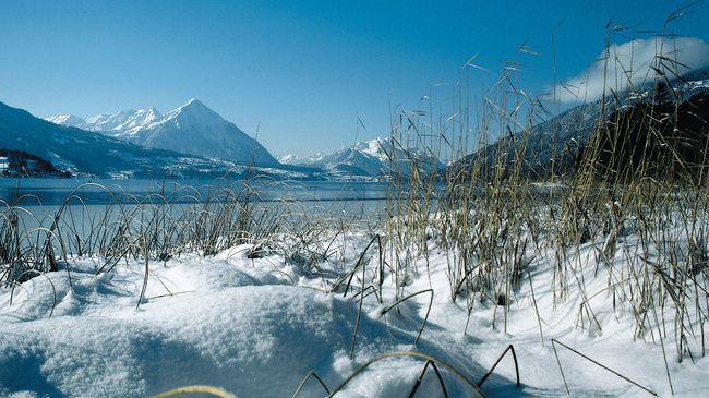 Lake-Thun-in-Winter.jpg