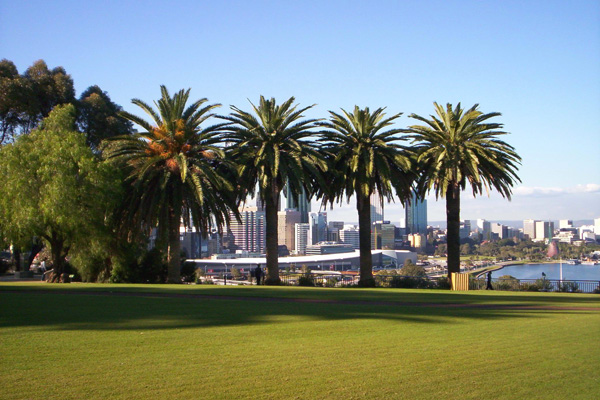 Kings_Park_Perth-.jpg