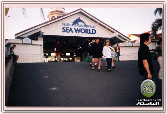 seaworld3.jpg