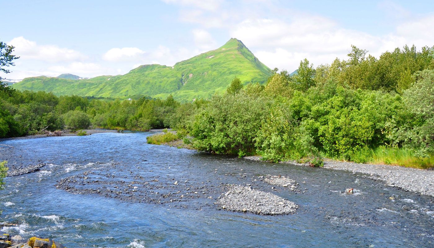 The-Kodiak-bear-and-the-king-crab-are-native-to-the-island..jpg