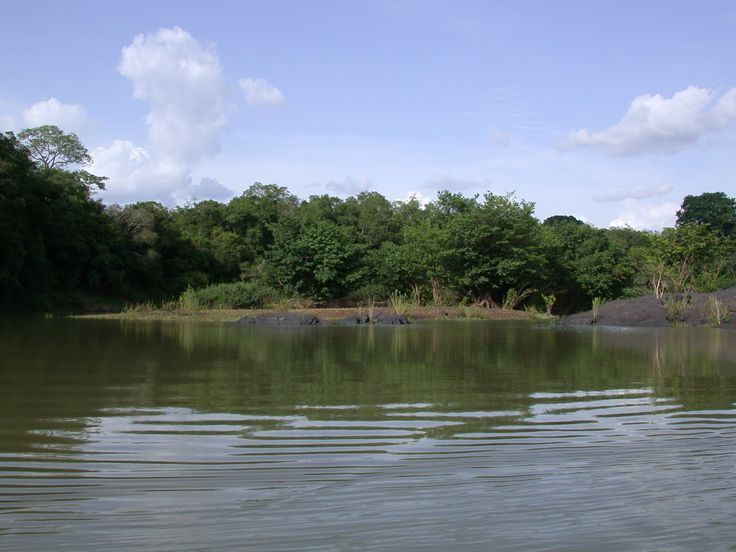 Alluvial-mining-sites-such-as-this-are-found-throughout-Kahuzi-Biega-national-park-and.jpg