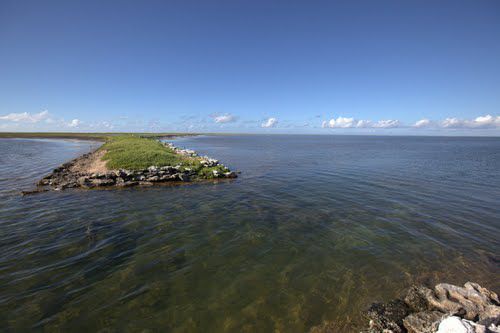 Malden-Island-Glass-Float.jpg