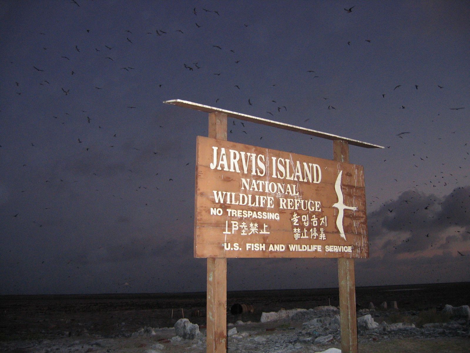 coral-island-in-the-Line-Island-group-near-the-equator-about-1350-miles-south-of-Honolulu-Hawaii.jpg