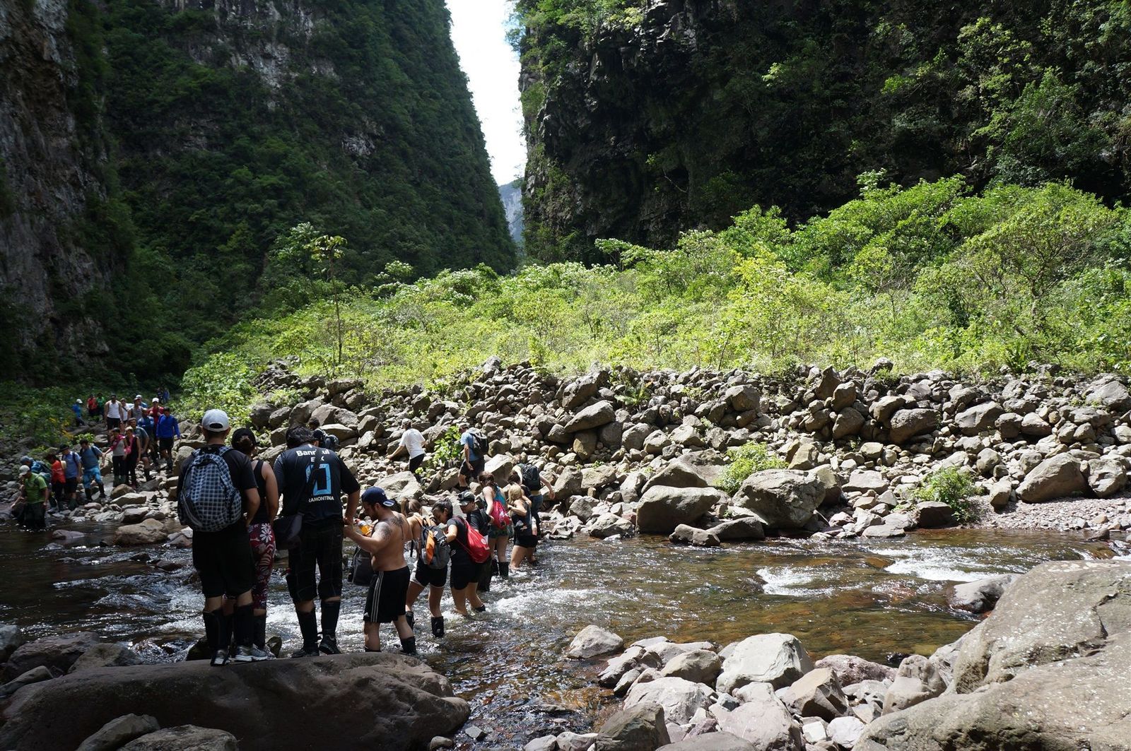 pletely-within-the-Atlantic-Forest-biome-and-it-is-part-of-the-Araucaria-Moist-Forests-ecoregion.jpg