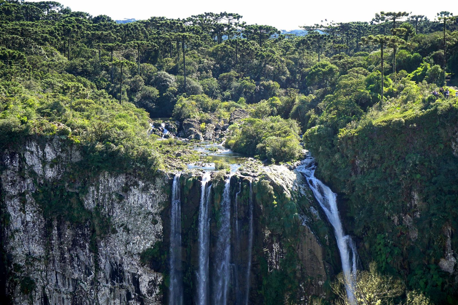 Aparados-da-Serra-National-Park.jpg